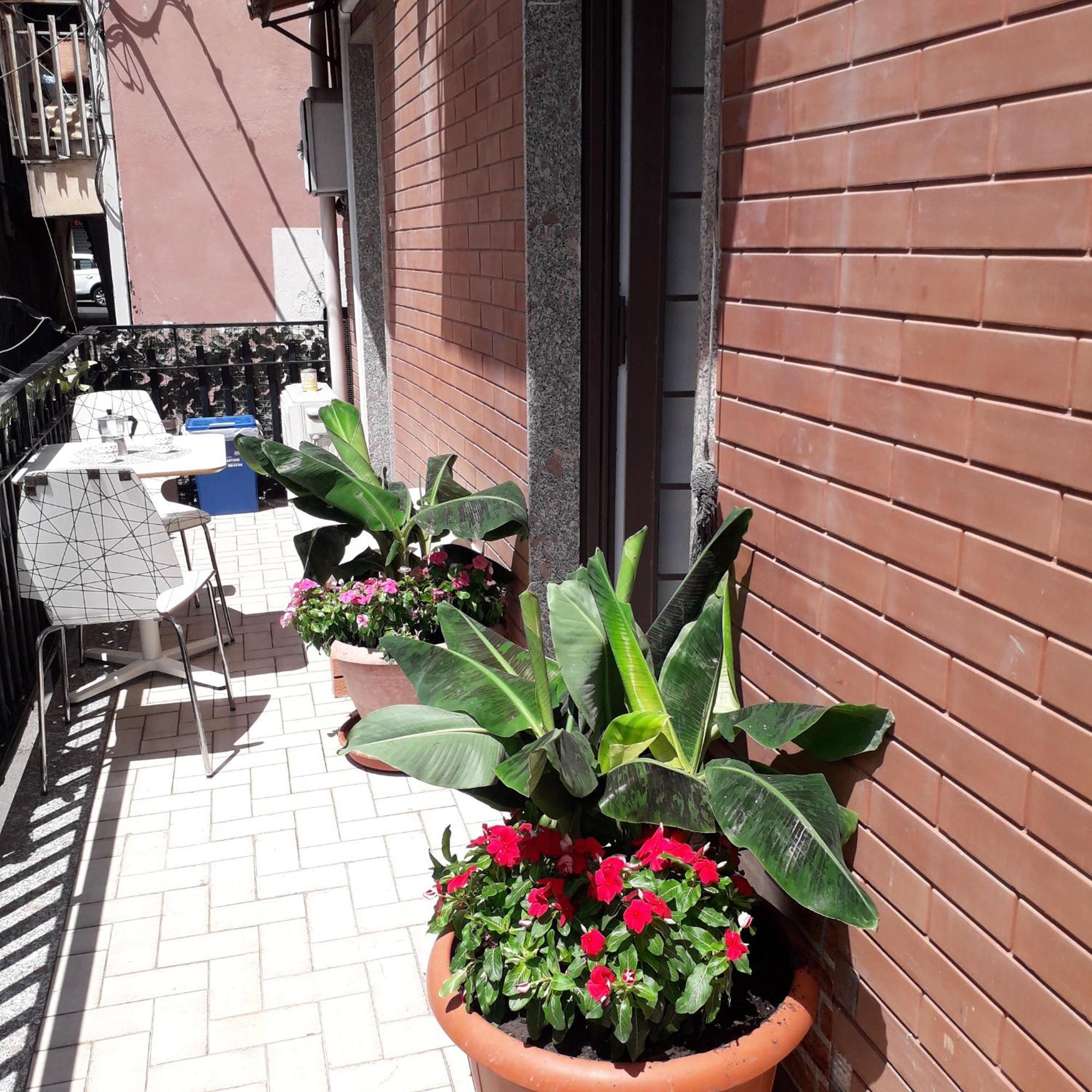 Le Case Del Cortile Katanya Dış mekan fotoğraf